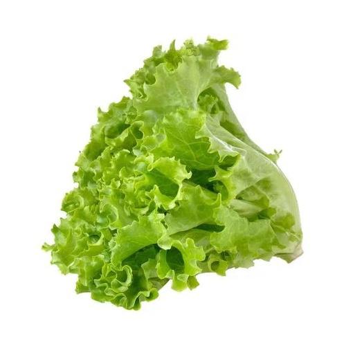 ALFACE CRESPA VERDE HIGI POTE VILLA 140G