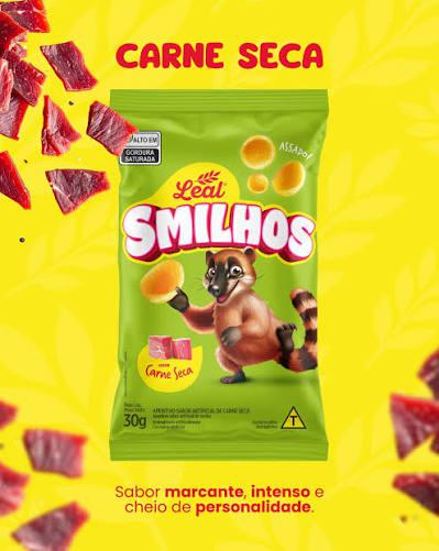 SALGADINHO SKILHOS CARNE SECA 30G
