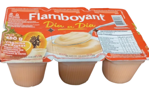 IOGURTE DIA A DIA VIT FRUTAS FLAMB 480G