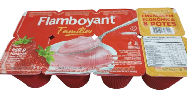 BEB LACTEA FLAMBOYANT MOR BDJ 640G