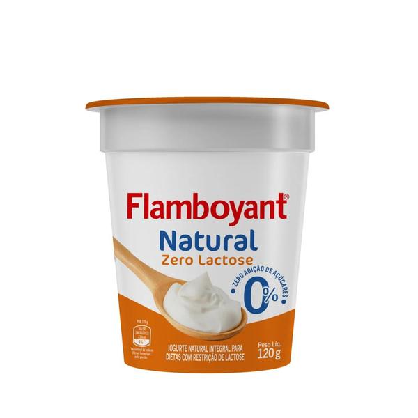IOG FLAMBOYANT 120G NAT ZERO LACTOSE~