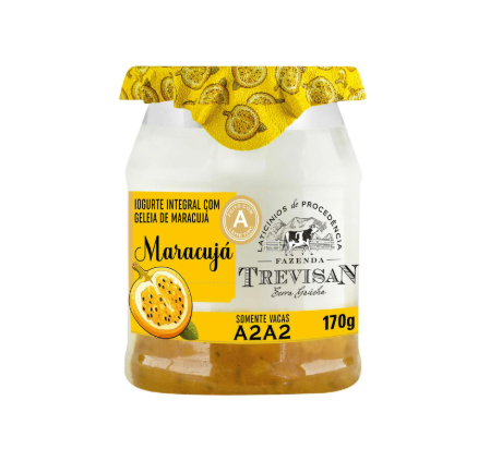 IOGURTE INTEGRAL TREVISAN 170G C/GELEIA