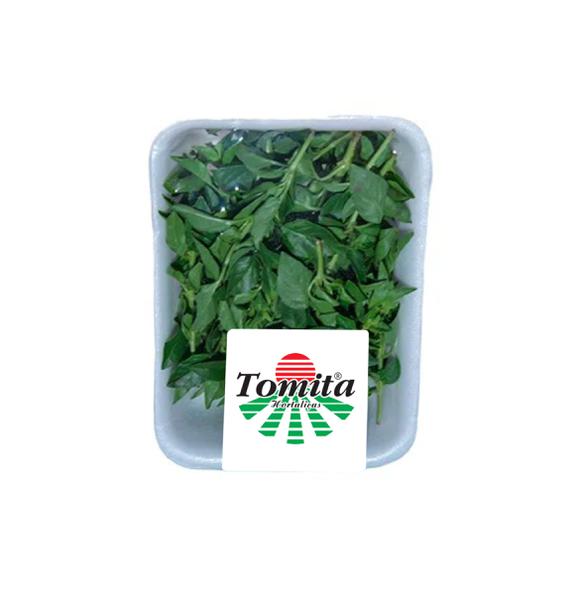 MANJERICAO TOMITA 30G