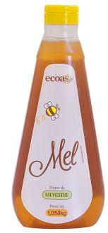 Bisnaga de Mel Laranjeira Ecoas 1,050Kg