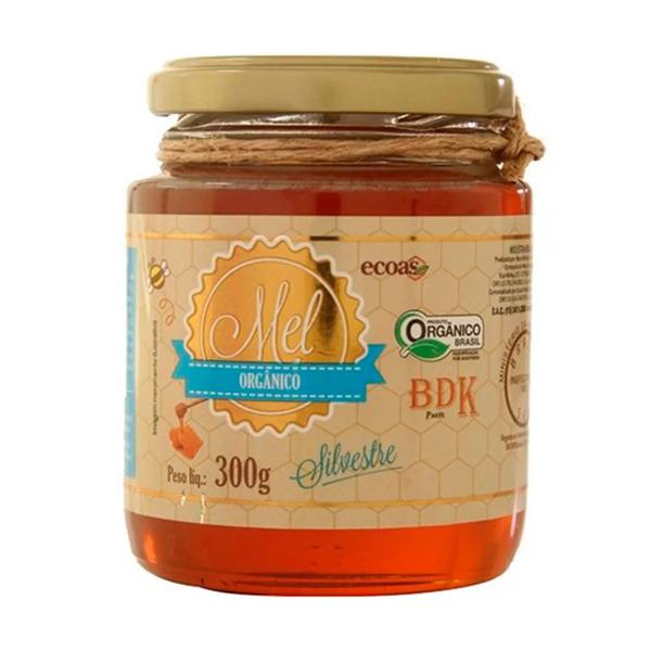 MEL ORGÂNICO SILVESTRE ECOAS 300G