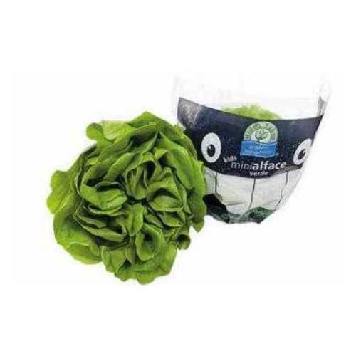 MINI ALFACE HIDROPÔNICO HIDROSABOR