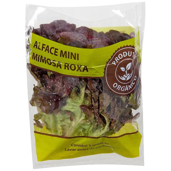 ALFACE MINI MIMOSA ROXA ORG.COOPEG