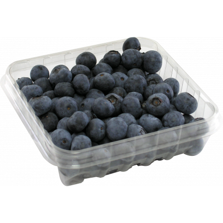 MIRTILO (BLUEBERRY) ATHOS 125G