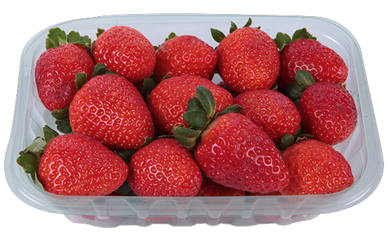 MORANGO FRUTA DO VALE 300G