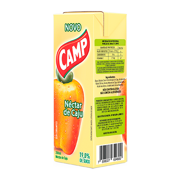 SUCO CAMP CAJU 200ML