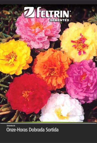 SEMENTES ONZE HORAS  FELTRIN 50G