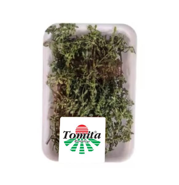 OREGANO TOMITA 30G