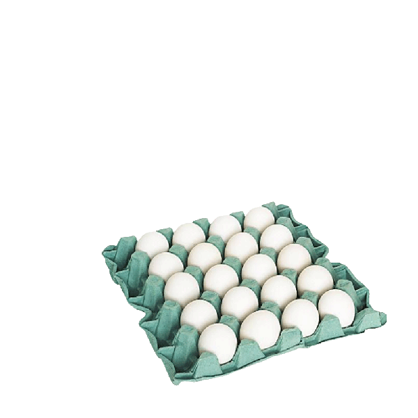 OVO BRANCO JATAÍ