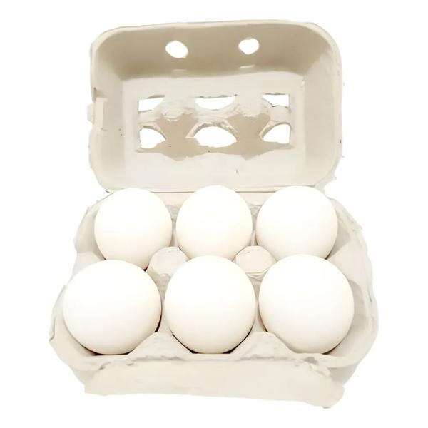 OVOS REGINA 6UN BRANCO GRANDE