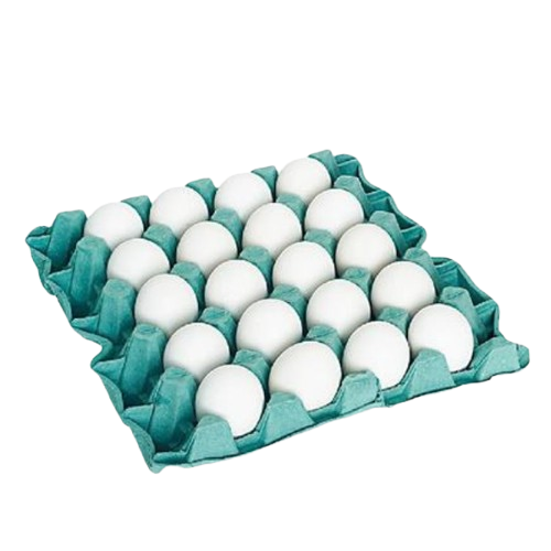 OVO BRANCO SAO JOSE GRANDE C/20