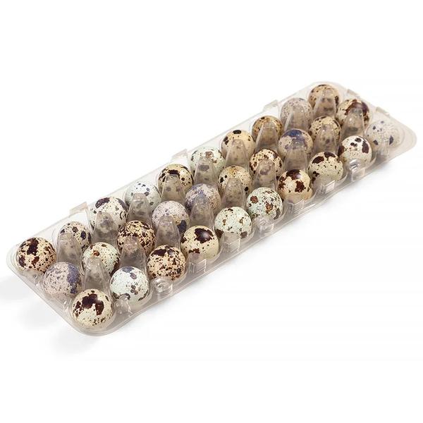 OVOS DE CODORNA SHINODA  C/30UN 