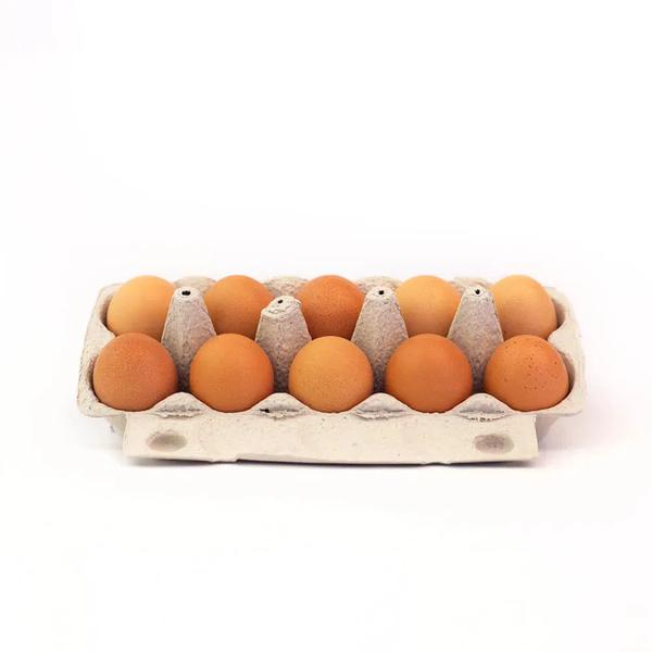 OVO VERMELHO OMEGA 3 VIT E TIJUCA C/10