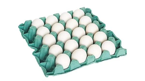 OVO BRANCO AVIMIL C/ 20