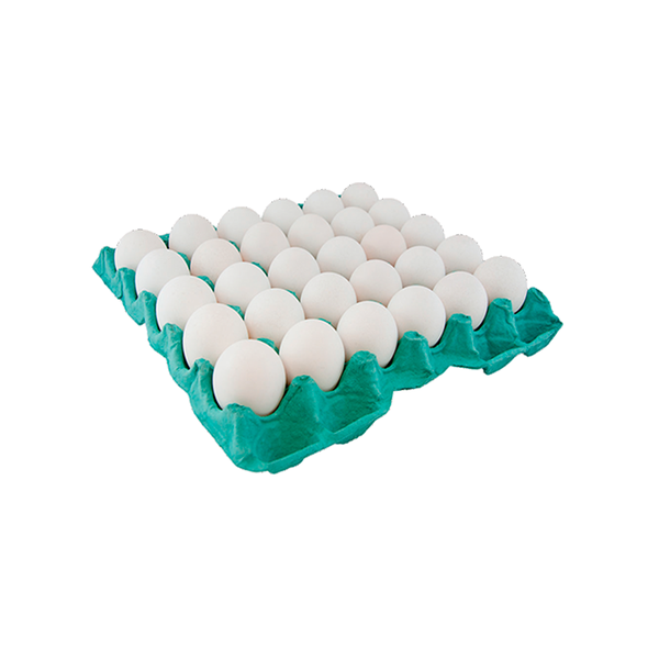 OVOS NOVO BRANCO GRANDE 30UN