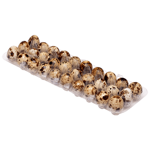 CUBA OVO DE CODORNA 30 UN TOP