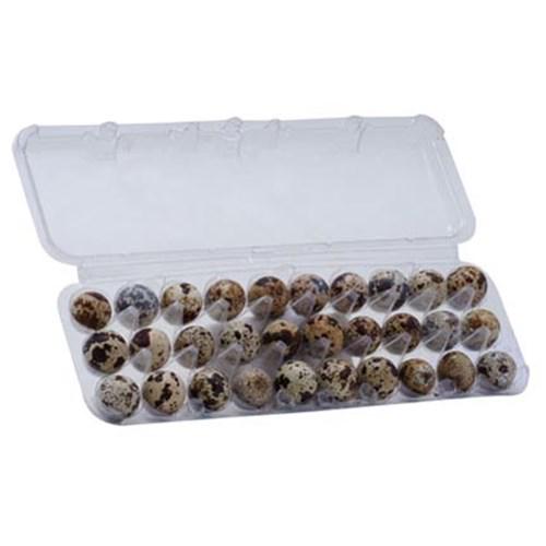 Ovos de Codorna Souza 30UN