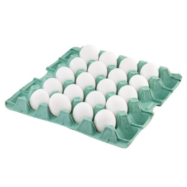 OVO GRANDE BRANCO SAO JOSE C/20 FILMADO