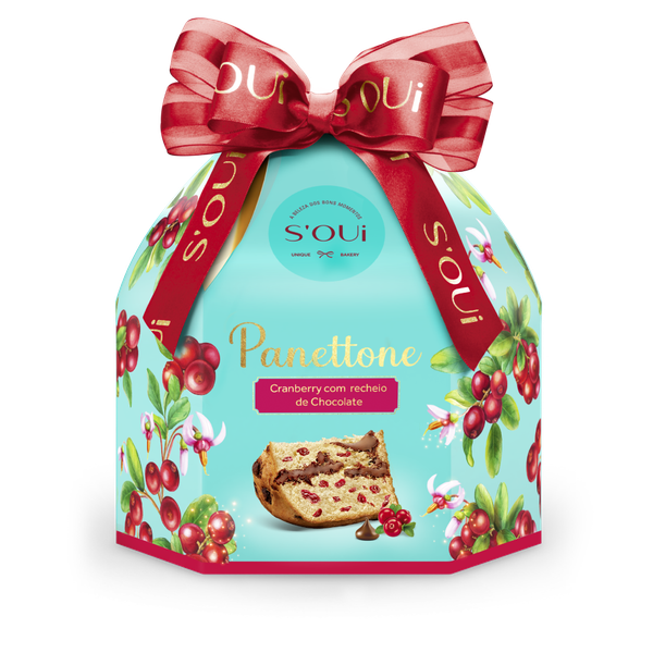 PANETTONE S.EDWIGES 500G CRANBERRY E REC