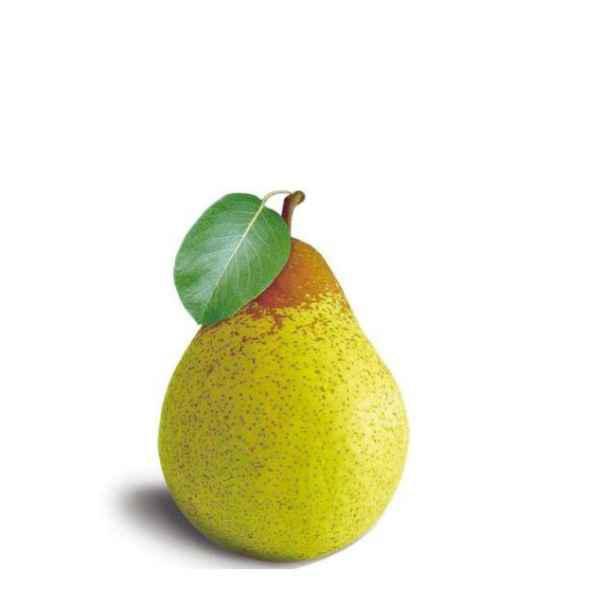 PERA PEARS UNIFRUTTI