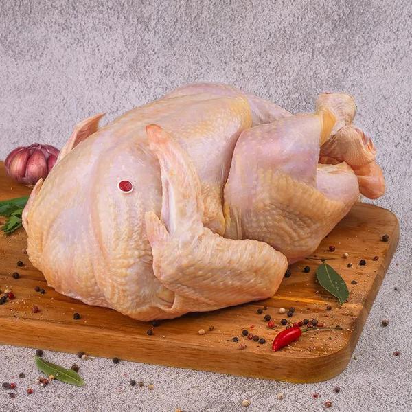 PERU SEARA KG  TEMPERADO