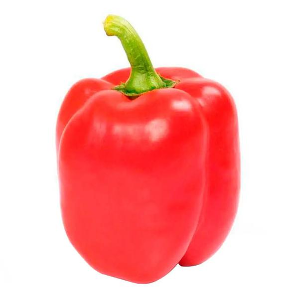 PIMENTAO VERM BLOCK  SILVETRIN