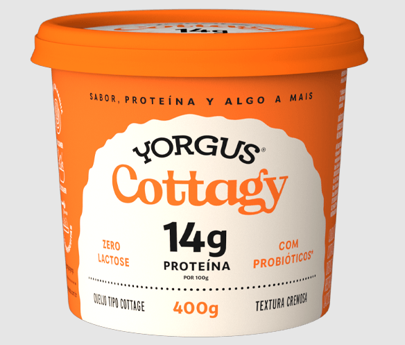 QUEIJO COTTAGE YORGUS 400G