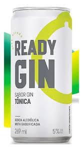 BEBIDA READY GIN TONICA 269ML