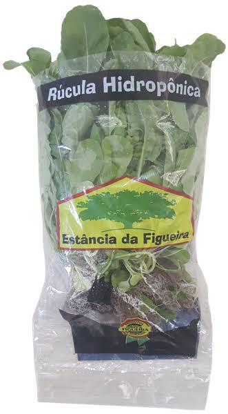 RUCULA HIDROPONICA EST DA FIGUEIRA