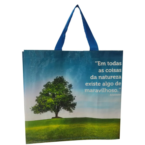 SACOLA BOMPACK REUTILIZAVEL CAPIVARA