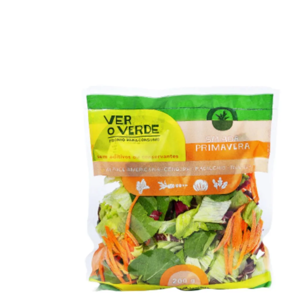 SALADA PRIMAVERA VERDUREIRA 200G