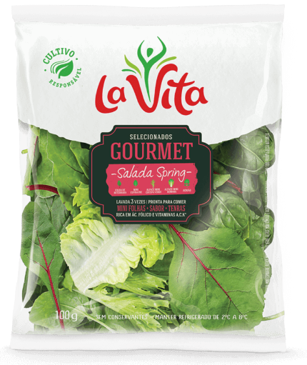 SALADA SPRING 100G LA VITA