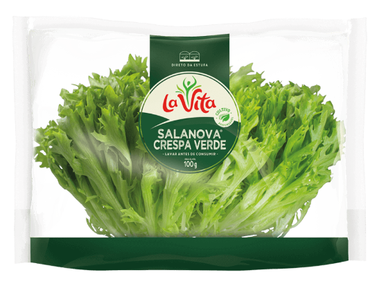 HF SALANOVA CRESPA VERDE LA VITA 100G
