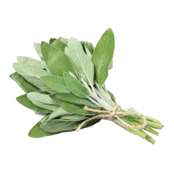 SEMENTE FELTRIN SALVIA TEMPERO 200MG