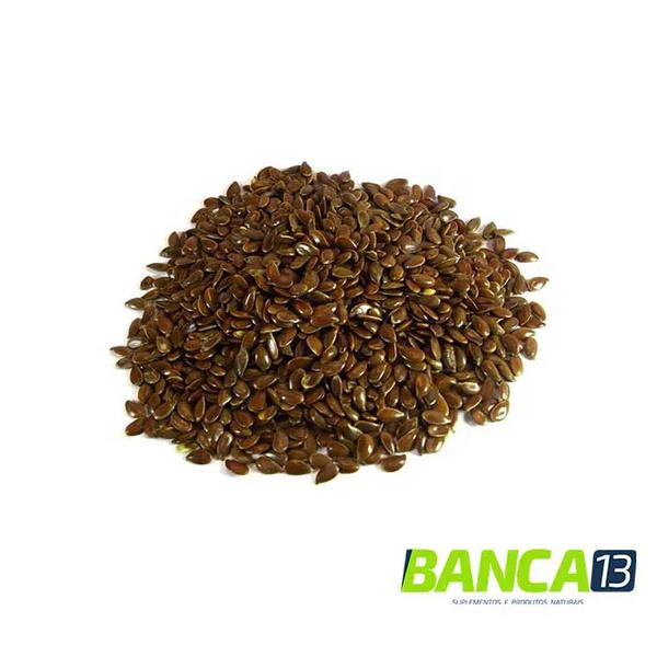 SEMENTE FLORA LINHACA 100G MARROM