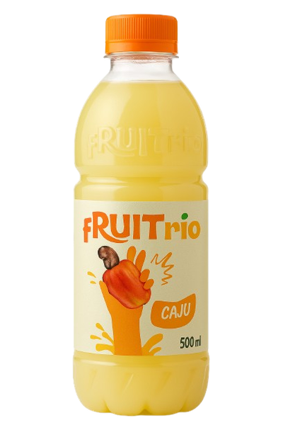 CONC FRUIT RIO CAJU 500ML