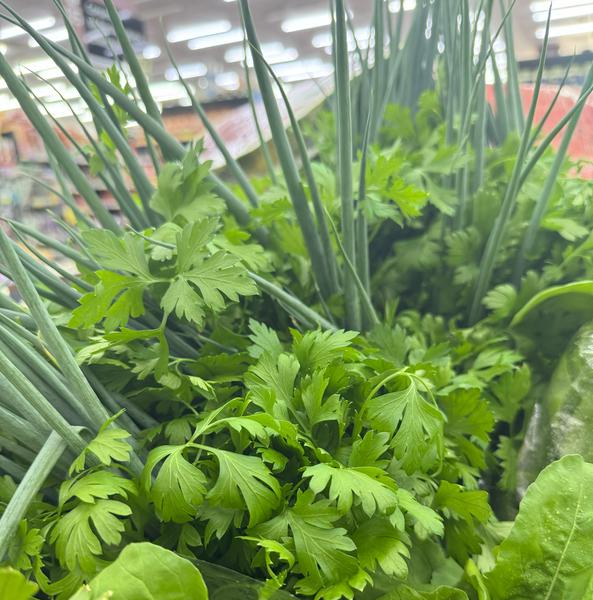 TEMPERO VERDE LOGAL UN