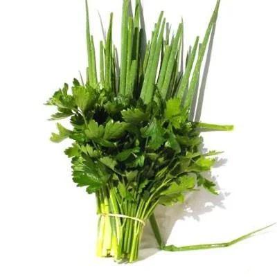 TEMPERO VERDE VARZEA UN