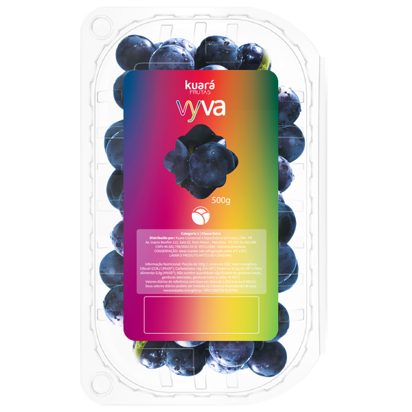 UVA PRETA VYVA S SEM BD 500G