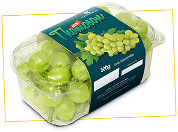 FLV UVA VERDE BEM DOCE S/SEMENTE 500G