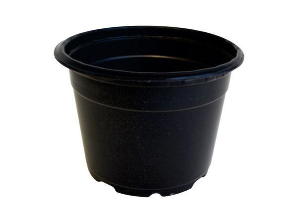 Vaso Mato Verde Plastico N.06