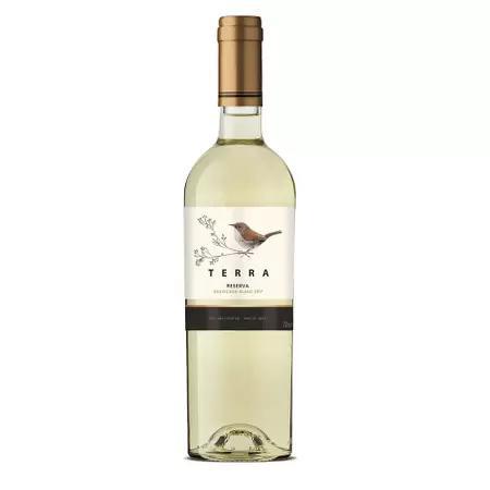 VINHO TERRA CHILENO BLANC 750ML SUAVIGNON