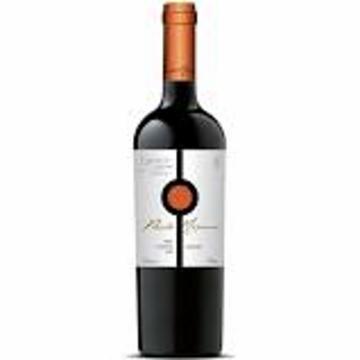 Vinho Punto Maximo Gran Autóctones 750ml Malbec