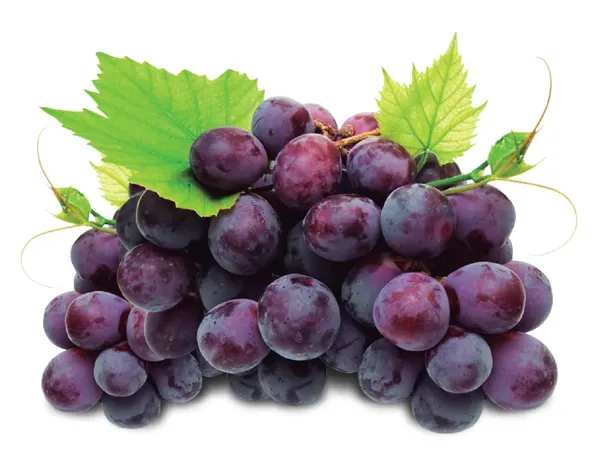 UVA ROXA SJV S SEMENTE 500G