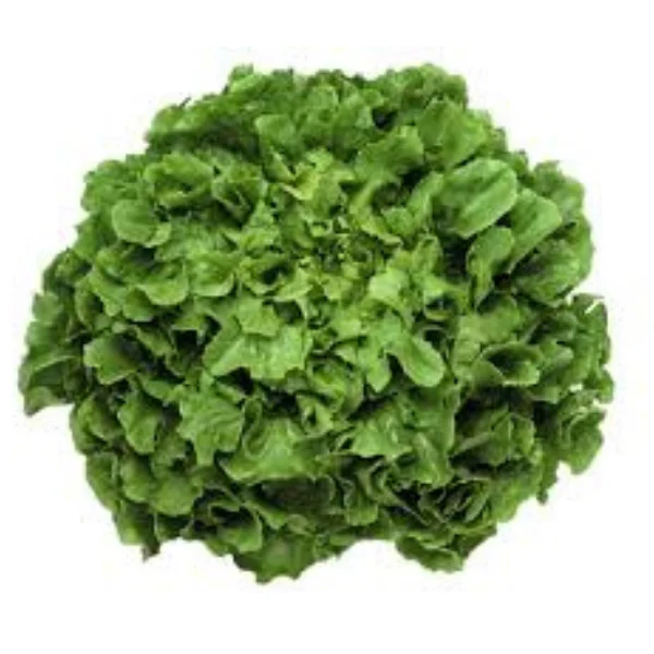 Almeirão Verde