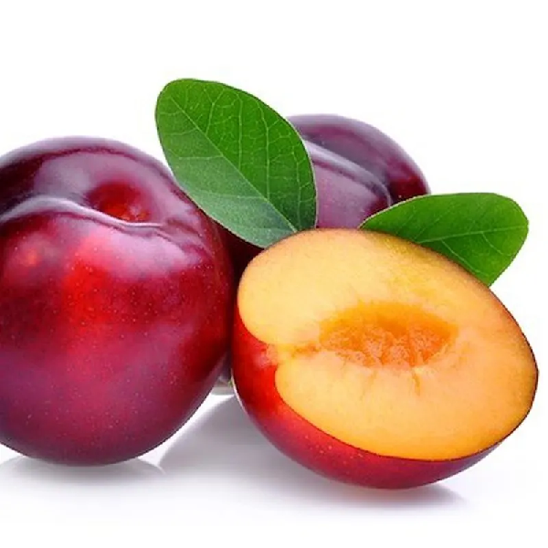 AMEIXA IMPORTADA STA ROSA